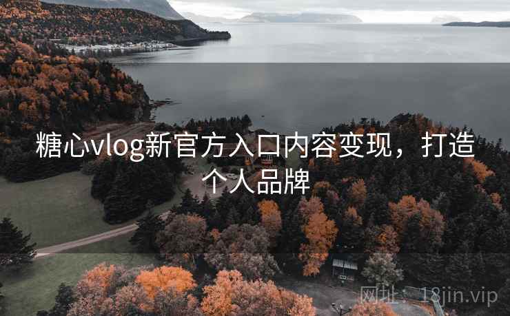 糖心vlog新官方入口内容变现,打造个人品牌 糖心vlog新官方入口内容变现,打造个人品牌